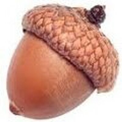 Profile Picture of David Achorn (@dachorn) on Twitter