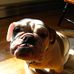 Profile Picture of Tony Perrone (@tony.perrone.165) on Facebook