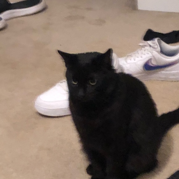 Profile Picture of Paige Downing (@paigedowning5) on Poshmark