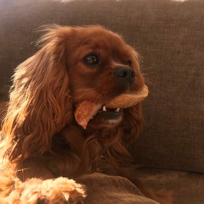 Profile Picture of Jacob ⚪️ (@jacobcoe_) on Twitter