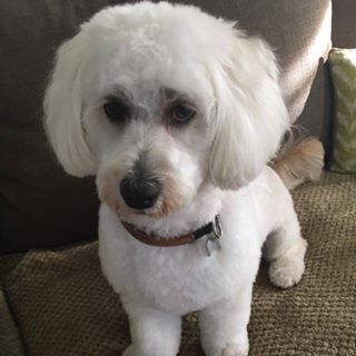 Profile Picture of Kamal Sookram (@kamal.sookram.94) on Facebook