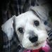Profile Picture of Kathy Sage (@kathy.sage.587) on Facebook