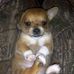 Profile Picture of Tiffany Hall (@Tiffany-Hall) on Facebook