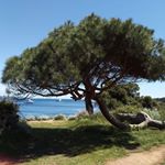 Profile Picture of Sandra Castrataro (@sandracastrataro) on Instagram