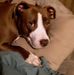 Profile Picture of Shelly Tuttle (@shelly.tuttle.75) on Facebook