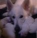 Profile Picture of David Faltot (@david.faltot.5) on Facebook