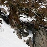 Profile Picture of Tim Reeve (@reeve8301) on Instagram