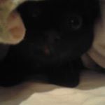 Profile Picture of Alan Praniewicz (@alan00921) on Instagram