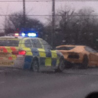 Profile Picture of Teddy Bear (@JefferyTeddy) on Twitter