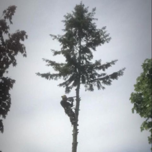 Profile Picture of Alex Byers (@alexbyers3) on Poshmark