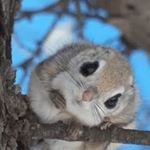 Profile Picture of Robin Schuler (@zombie_122019) on Instagram