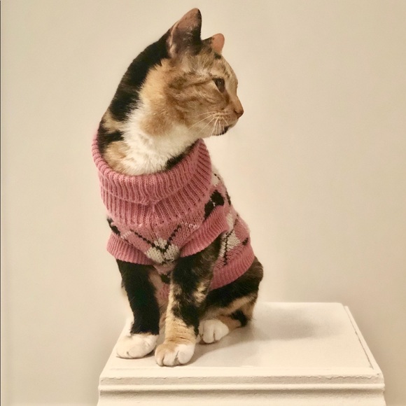 Hana Mizoguchi - Poshmark Profile Picture of Hana Mizoguchi (@hanamiz7) on Poshmark