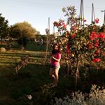 Profile Picture of Roberto Sciarra (@roberto.sciarra.71) on Instagram