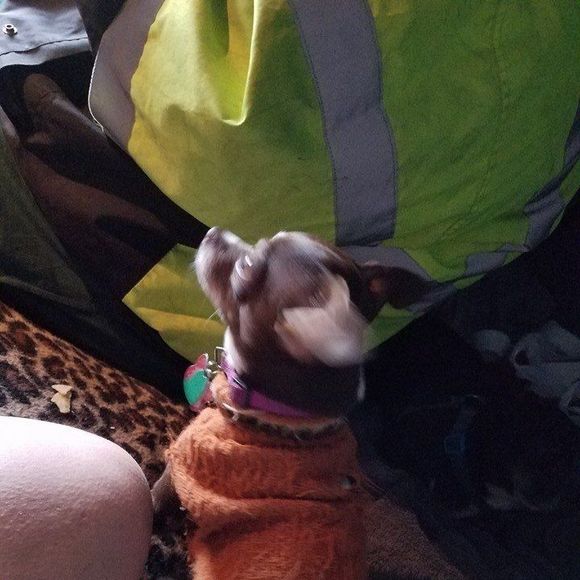 Profile Picture of Dawn Carson (@dawn_carson198) on Poshmark