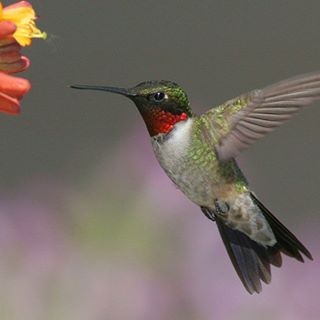 Profile Picture of Janet Jacobus Winship (@janet.winship.9) on Facebook