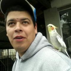 Profile Picture of Jean Garrett (@Jeangarrett1) on Twitter