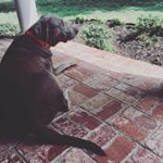 Profile Picture of Lily Henry (@lilyhenry04) on Instagram