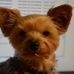 Profile Picture of Pam Szymanoski (@pam.szymanoski) on Facebook