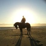 Profile Picture of Tony Stroud (@tony.stroud2010) on Instagram