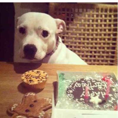 Profile Picture of Aaron Pettigrew (@00pet) on Twitter