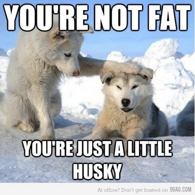 Profile Picture of Martin Almström (@shepardC0mmand) on Twitter