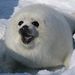 Profile Picture of Nathan Schueller (@nathanschueller5) on Pinterest