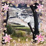 Profile Picture of Cheryl Andrews (@cheryl.andrews.3956) on Instagram