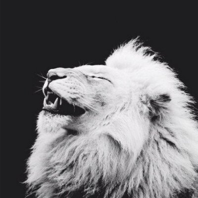 Profile Picture of Jacob Tippett (@Jacob_Tippett) on Twitter