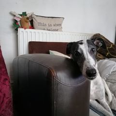 Profile Picture of Richard Overall (@richard.overall) on Tiktok