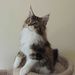 Profile Picture of Joseph Dobbs (@josephadobbs1) on Pinterest