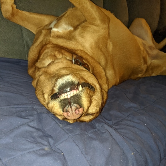 Profile Picture of James Olsen (@jmolsen67) on Poshmark