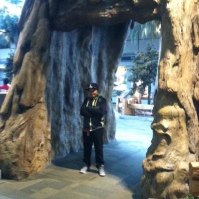 Profile Picture of Bryan Barriga (@_Bryan_Barriga_) on Twitter