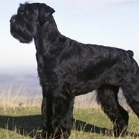 Profile Picture of Steven Lehr (@steven-lehr-6) on Quora