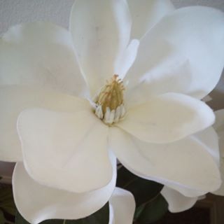 Profile Picture of Kellye Robinette (@kellye.robinette.5) on Facebook