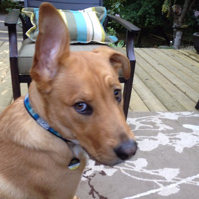 Profile Picture of Karen Faulkner (@karen4karen) on Twitter