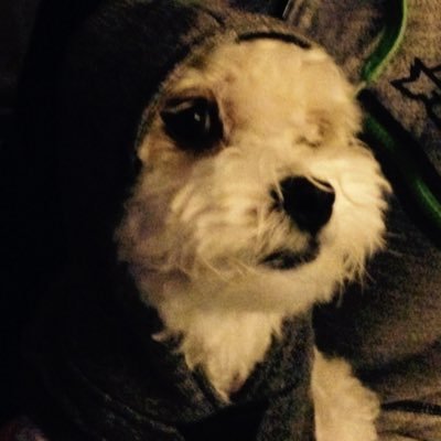 Profile Picture of Kyle O'Malley (@KyleMalley) on Twitter