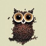 Profile Picture of Stacie Kennedy-Jenista (@kennedyjenista) on Instagram