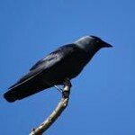 Profile Picture of Michael English (@_michael_english_) on Instagram