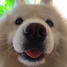 Profile Picture of 白色的乌鸦 (@Peter_0Dragon0) on Twitter
