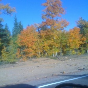 Profile Picture of Chory Gallagher (@400761990) on Myspace