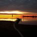 Profile Picture of Larry Tolbert (@larry.tolbert.940) on Facebook