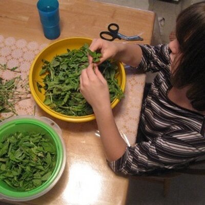 Profile Picture of Paula Mae Forte (@4EverYoungFood) on Twitter