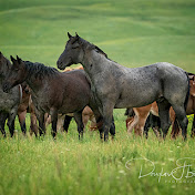 Profile Picture of David Ortlieb (@davidortlieb3661) on Youtube