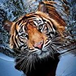 Profile Picture of Francis X Singh (@francissingh7456) on Instagram