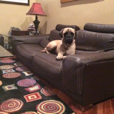 Profile Picture of Jonathan R.Glanz (@goodgirlandboy) on Twitter