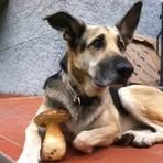 Profile Picture of David William Lunghi (@David-William-Lunghi) on Facebook