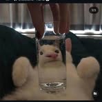 Profile Picture of Jason Wong (@Jason-Wong) on Facebook