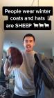 Profile Picture of   Benjamin (@affablechat) on... (@affablechat) on Tiktok