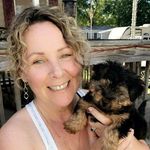 Profile Picture of Lori Bottino Ingalls (@loribottino) on Instagram