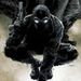 Profile Picture of Chris Crossley (@ccrossley4) on Pinterest